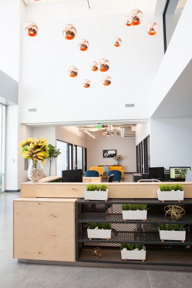 An office with a desk and plants on the counter.